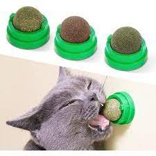 Cat Nip Balls